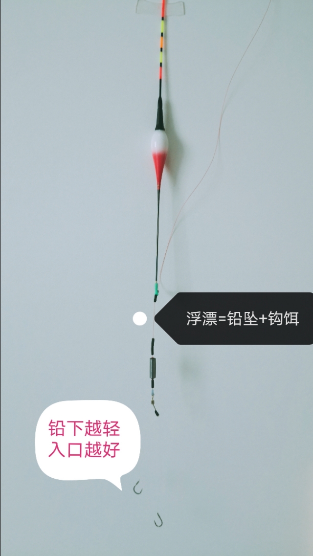 轻口滑鱼怎么调漂,轻口滑鱼怎么配漂和钩子