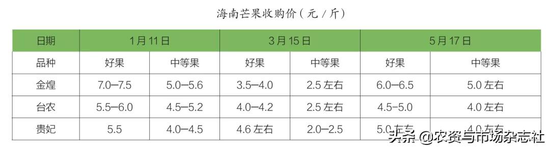海南芒果致富新模式,海南芒果产业进一步发展建议