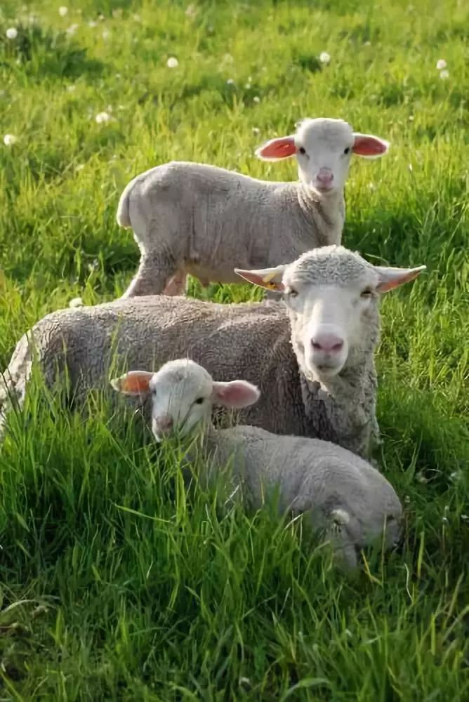 发现被别人偷拍照片,偷拍别人的照片是否违法