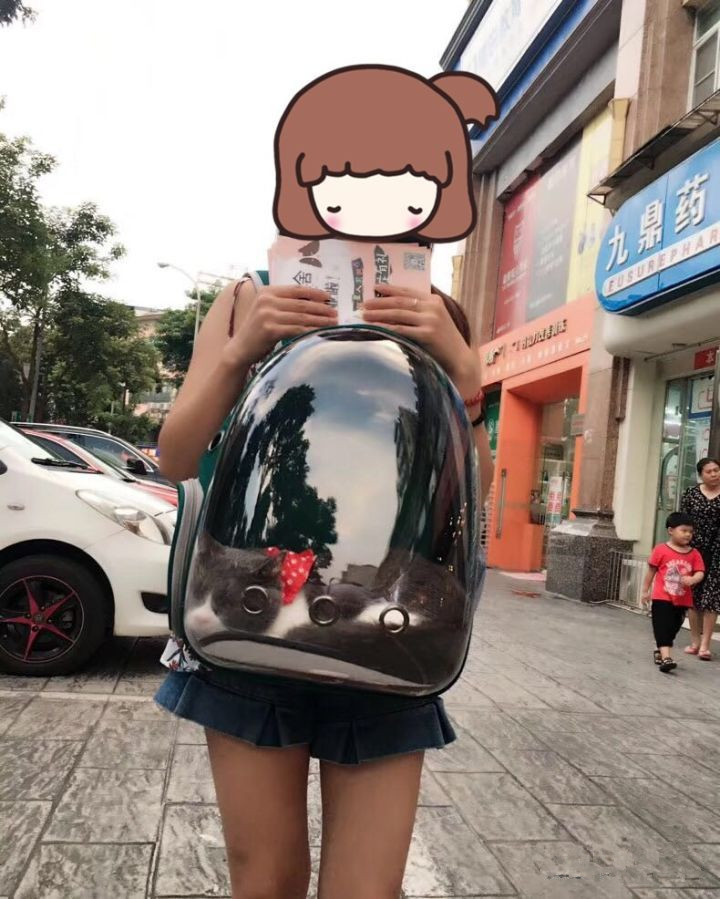 怎么防买到星期猫,如何避免在市场买到星期猫