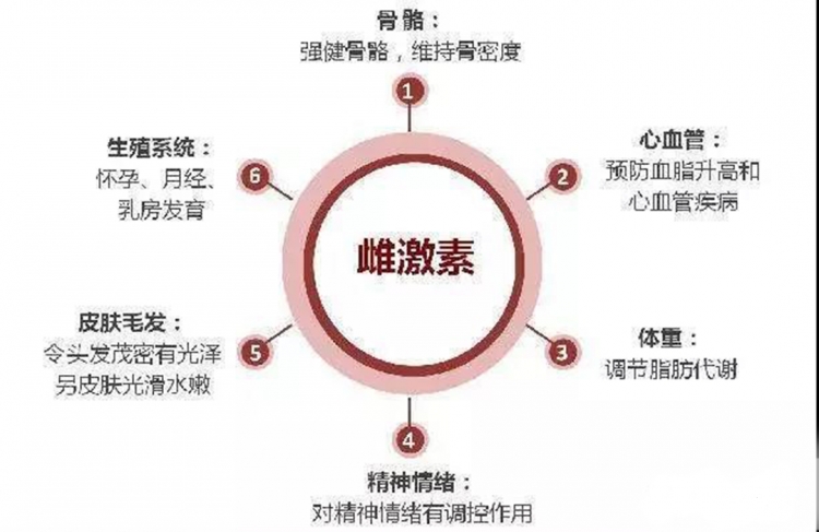 备孕男性要查性激素六项吗,备孕检查性激素六项跟甲功