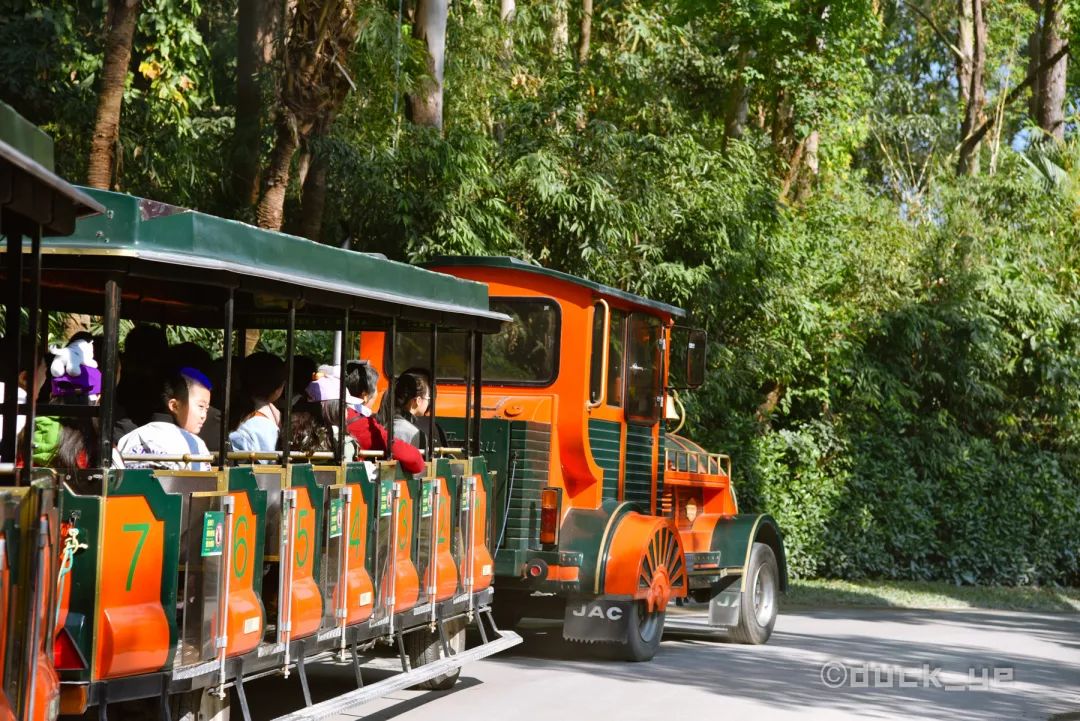 自驾长隆野生动物世界攻略,广州长隆野生动物世界旅游攻略