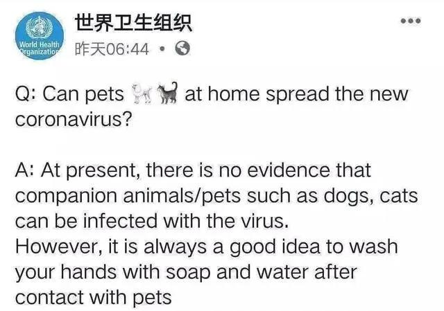 新冠疫情国际谣言,新冠疫情散播谣言的影响