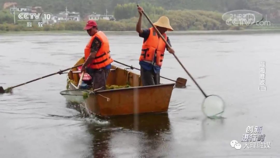 央视新闻报道洱海治理,洱海最近被封了吗