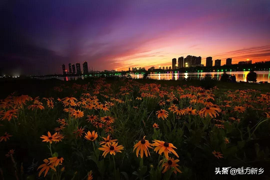 大光比拍摄的正确方法,新手必须学的10个人像摄影技巧