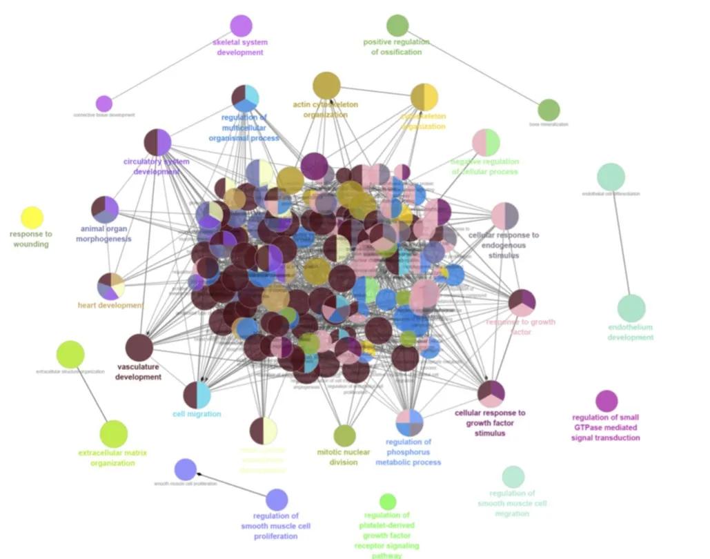 博士毕业神器3+分纯生信杂志：平均一审只要一个月，年刊量1000+