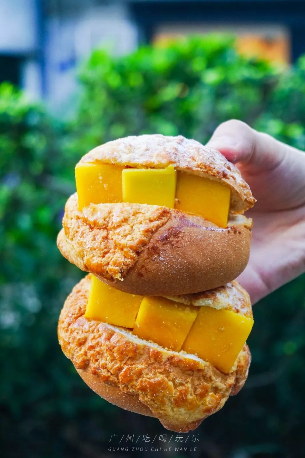 广州，说好了！等你痊愈后，这100件事我们一起完成。