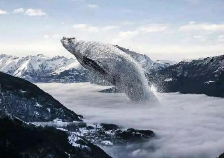 比较杂乱的ps抠图教程,ps如何找免费商用素材