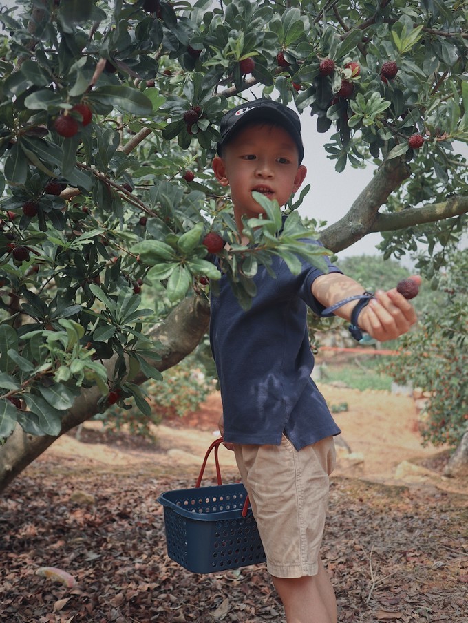 火山岛旅游攻略自由行包车,火山岛三天两晚游