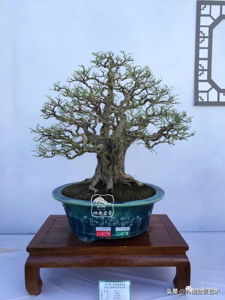 骞哥涔呬箙鐢滅敎铚滆湝,骞哥涔呬箙