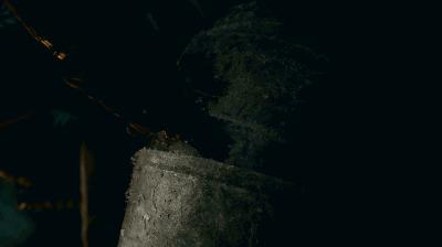 权游第九季一共多少集,权游第八季最终结局