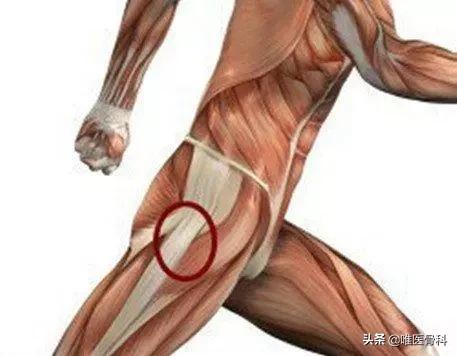 肌肉拉伤康复治疗最快最好方法,肌肉拉伤怎么做才能恢复更快