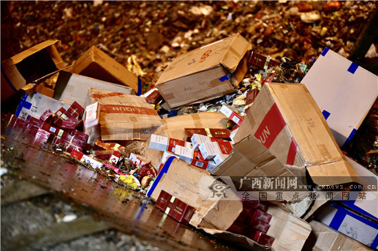 世界卫生日环境保护,世界环境日执法