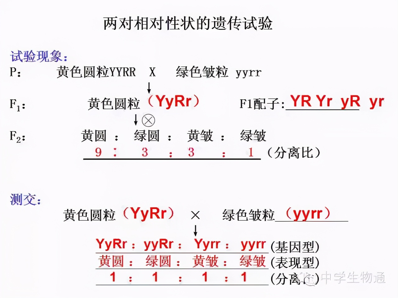 高中生物复习资料必修一,高中生物复习资料大全2019
