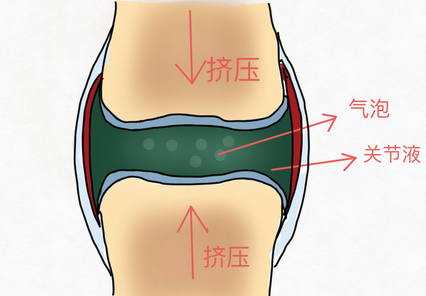 头晕脖子一动就咔咔响是什么原因,颈椎脖子一动咔咔响是什么原因
