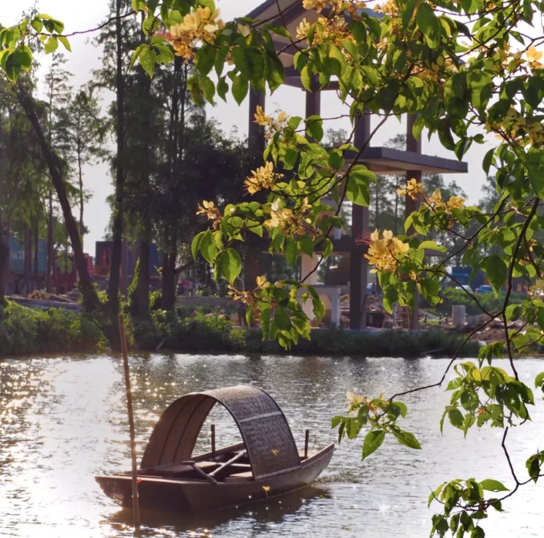 这个藏着夏威夷和圣托里尼的珠三角秘境,即将成为下一个爆款