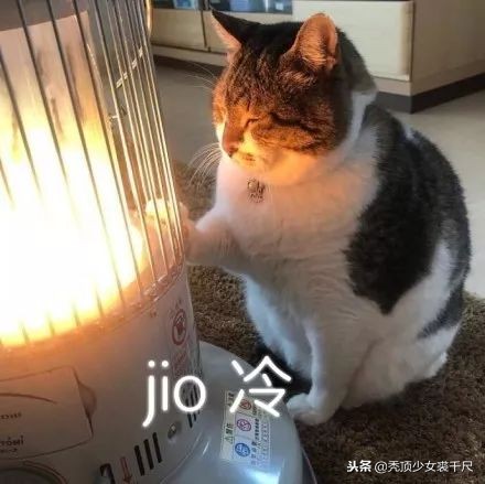 冬天女明星有多不怕冷,哪些明星冬天特别的怕冷