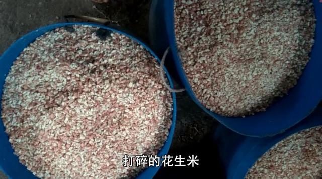 专家说农村自榨花生油不能吃,小伙公开榨油过程,专家不说话了