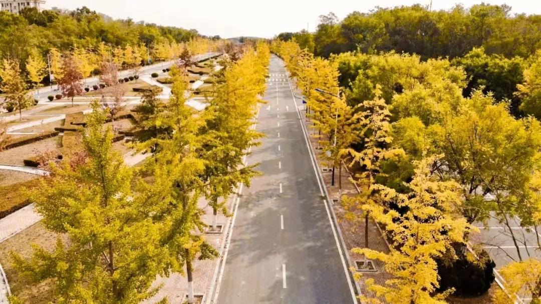 辽宁省高校(三十二)大连外国语大学