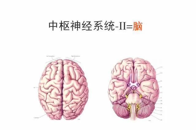 缺钾有什么症状和危害怎么治疗,缺钾的症状与危害人为什么缺钾