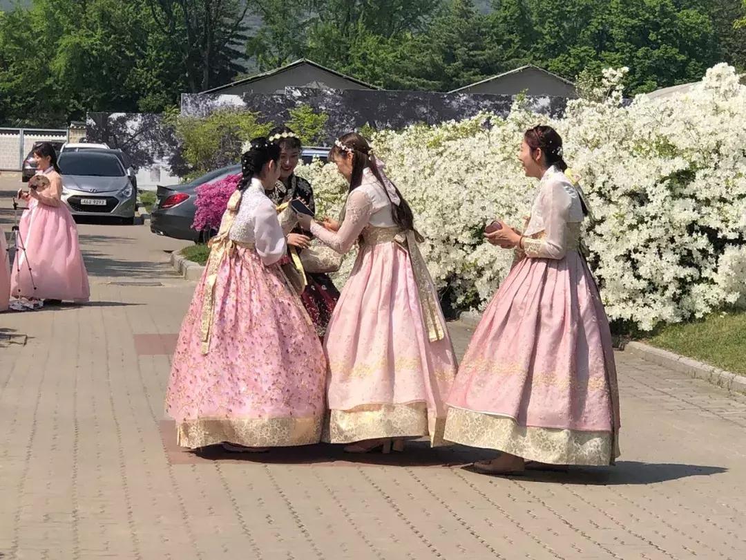 自己去韩国买便宜还是代购便宜,去韩国代购怎么走便宜