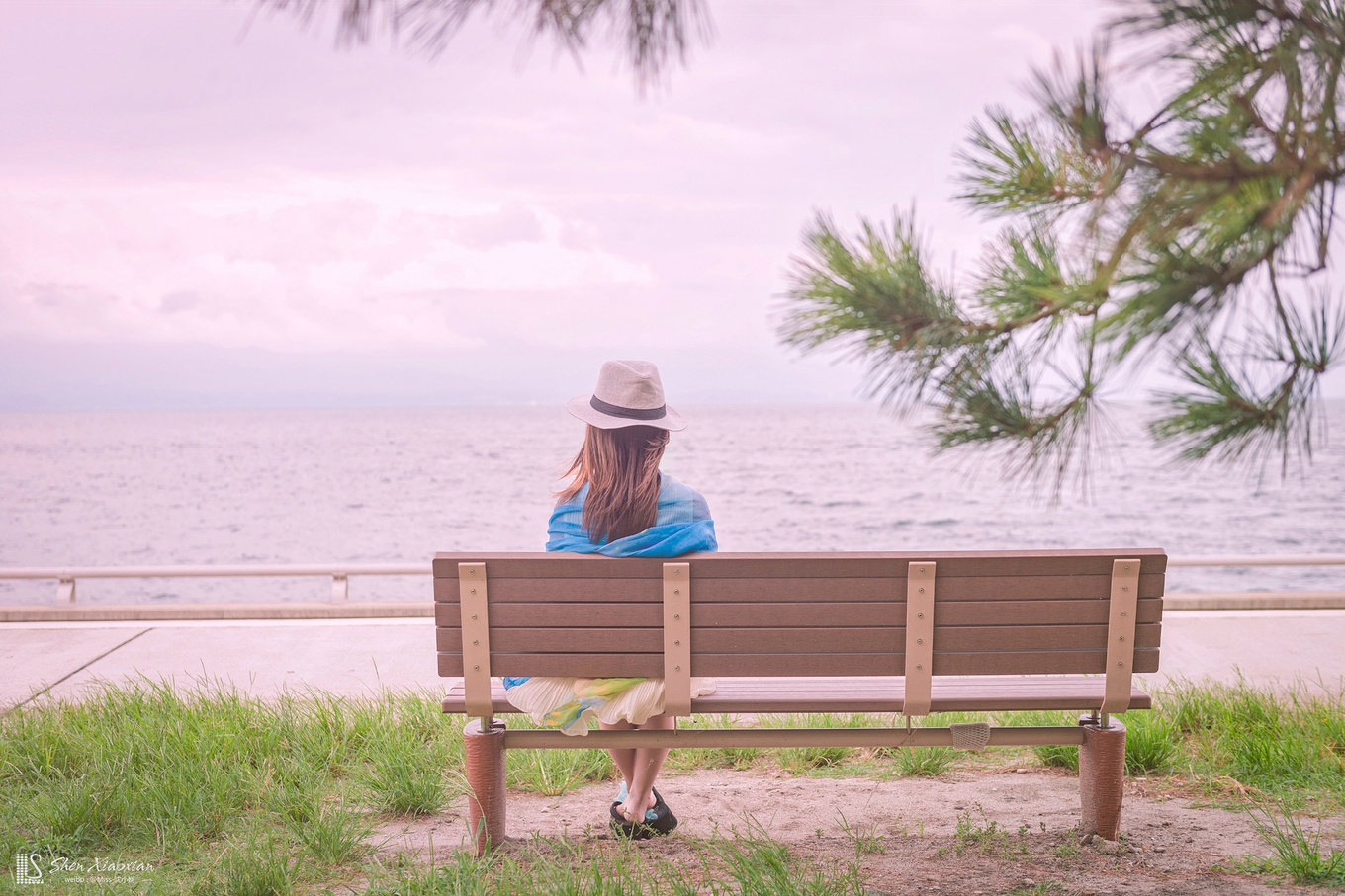 错过了诺亚方舟错过了泰坦尼克号,海上堡垒诺亚方舟