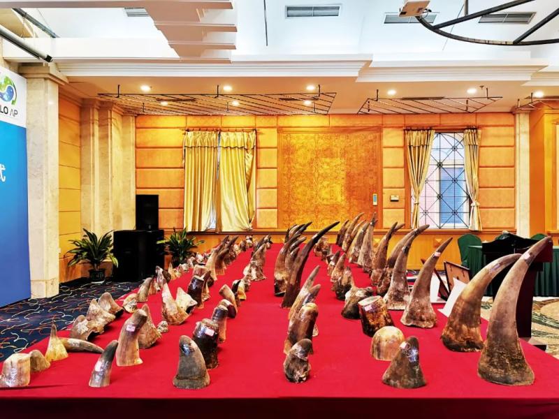 犀牛角跨国*私走**链条：五级*私走**网络，*市黑**价每公斤40万元