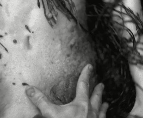 烂番茄最新高分电影,烂番茄高分烧脑电影