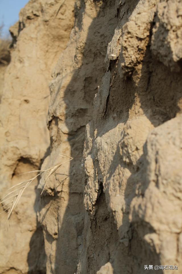 无棣信阳古城,无棣县信阳镇景点