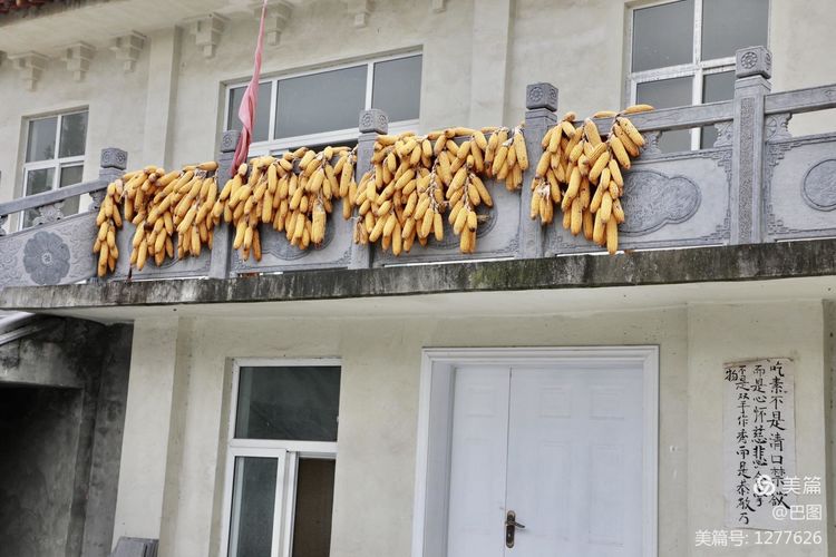 末伏偃师怀旧行，访古春秋时期滑国故城，探幽西天取经唐僧寺