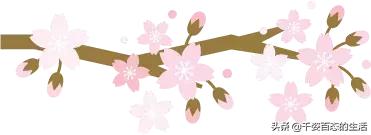 广西低调小城竟然藏了个小奈良,广西有座低调的养老小城