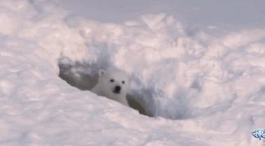 笑完后才发现的真实事件,笑完后才发现原来说的那么真实