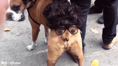 BOSS观点:你们凭什么这么牛13?