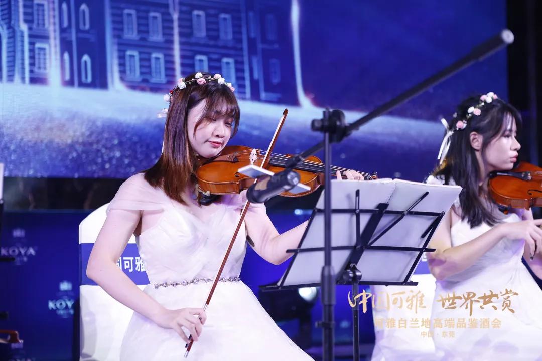 可雅白兰地品鉴,可雅白兰地什么价格及图片