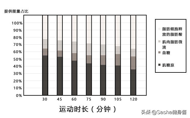 破解喝酒之谜,如何尽快解决啤酒肚