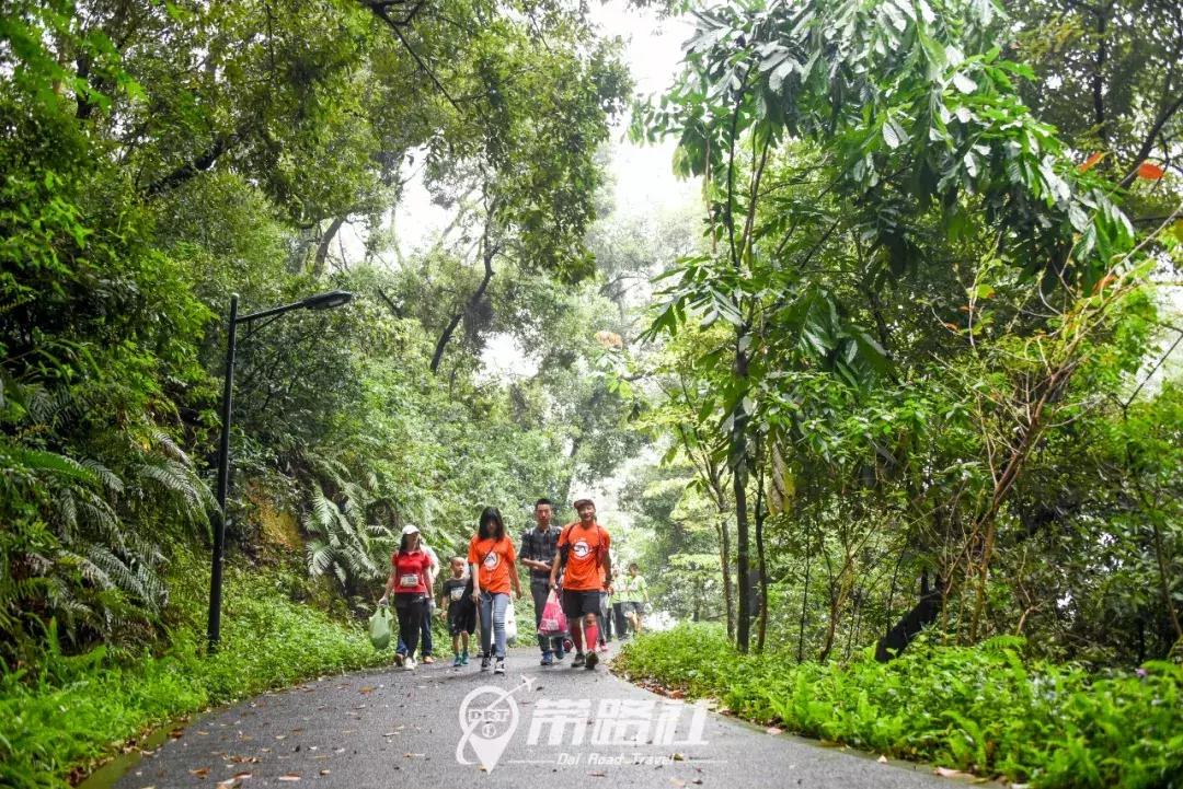 绿色环保行动实践活动总结,用行动践行绿色环保理念