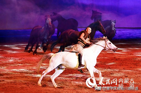 呼和浩特千古马颂表演地点,呼和浩特怎么找草原风