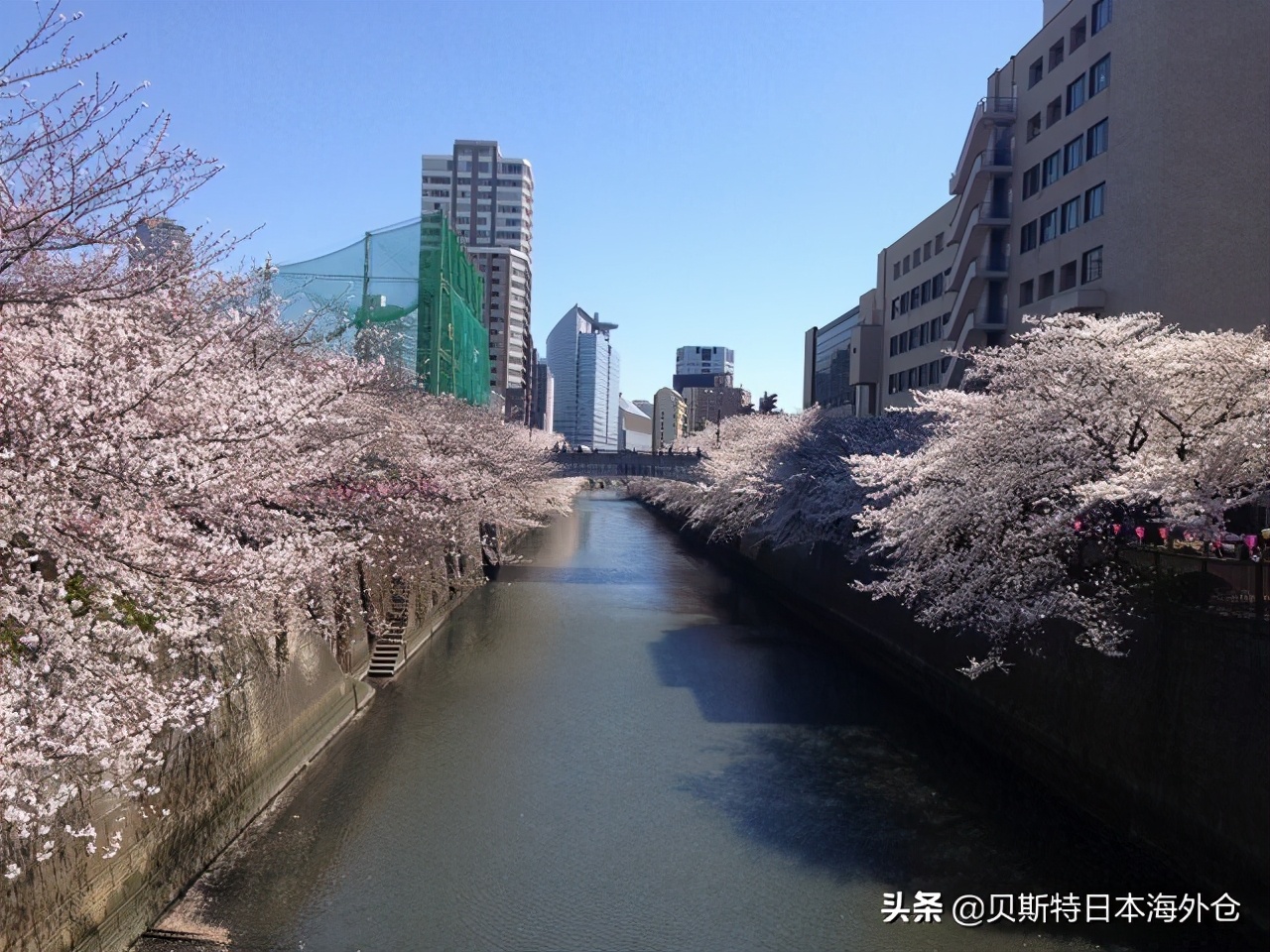 日本东京区位置选择,日本东京最好的区