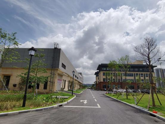 上海市政工程现场,上海市政总院是做什么