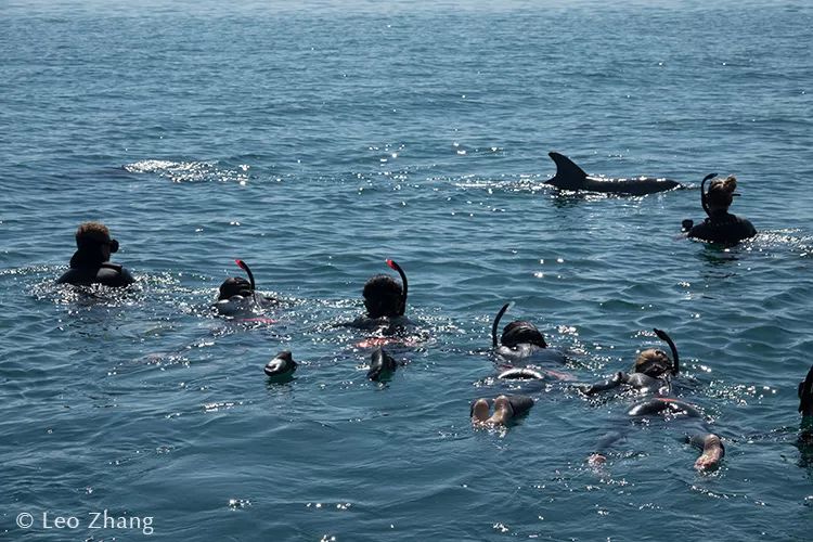 章子怡西澳,西澳大利亚十大挑战视频