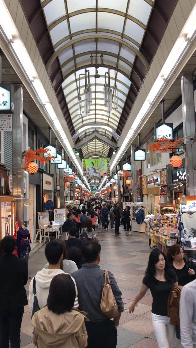 日本关西自由行七日游,日本小资之旅