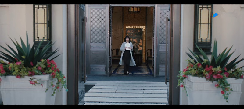 从海归到洗钱团伙法人，她经历了什么？