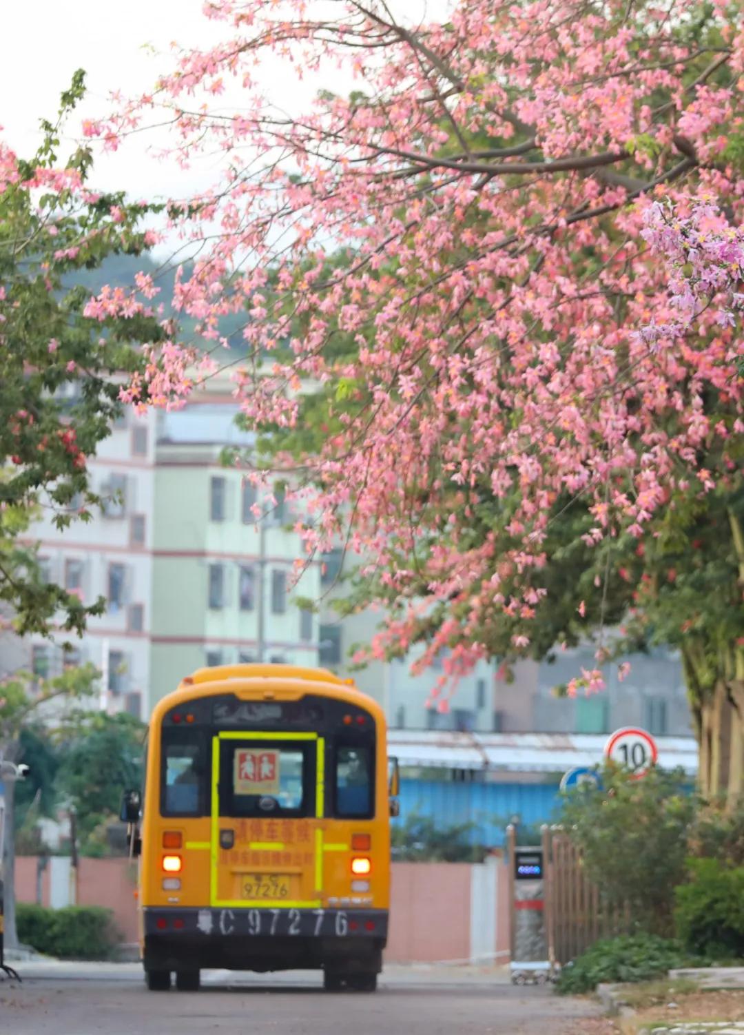 珠海买房过冬真实感受,在珠海买房十大秘诀