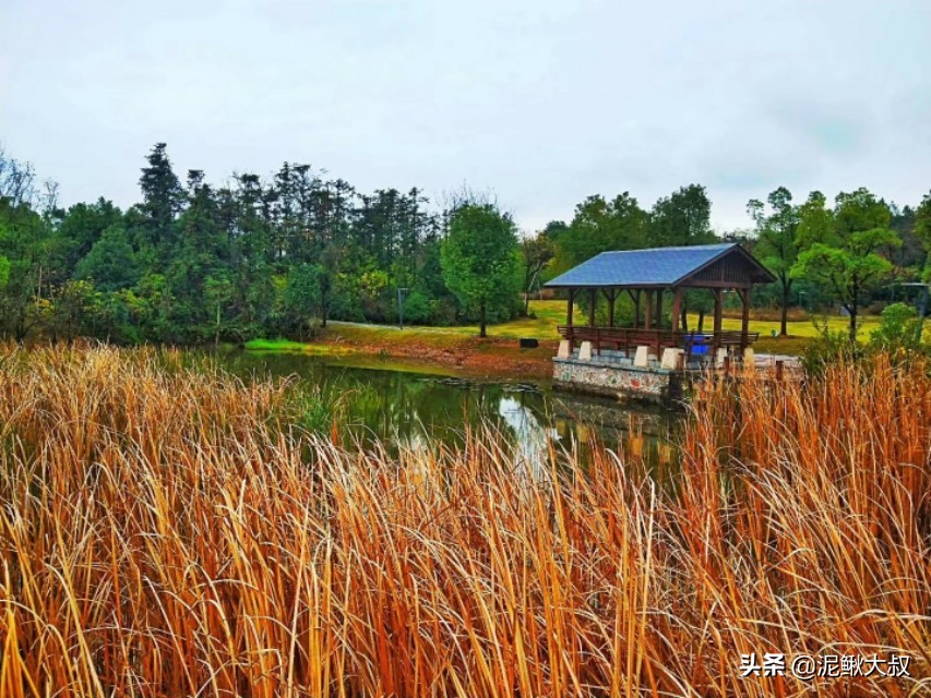 金义都市新区招聘,金义都市新区未来5年规划