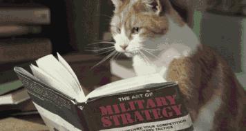 猫咪被救助的感人故事,猫咪救主人的真实故事