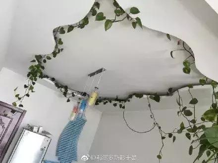 花30万装修新房变公共厕所,花了几十万装修的新房搞笑