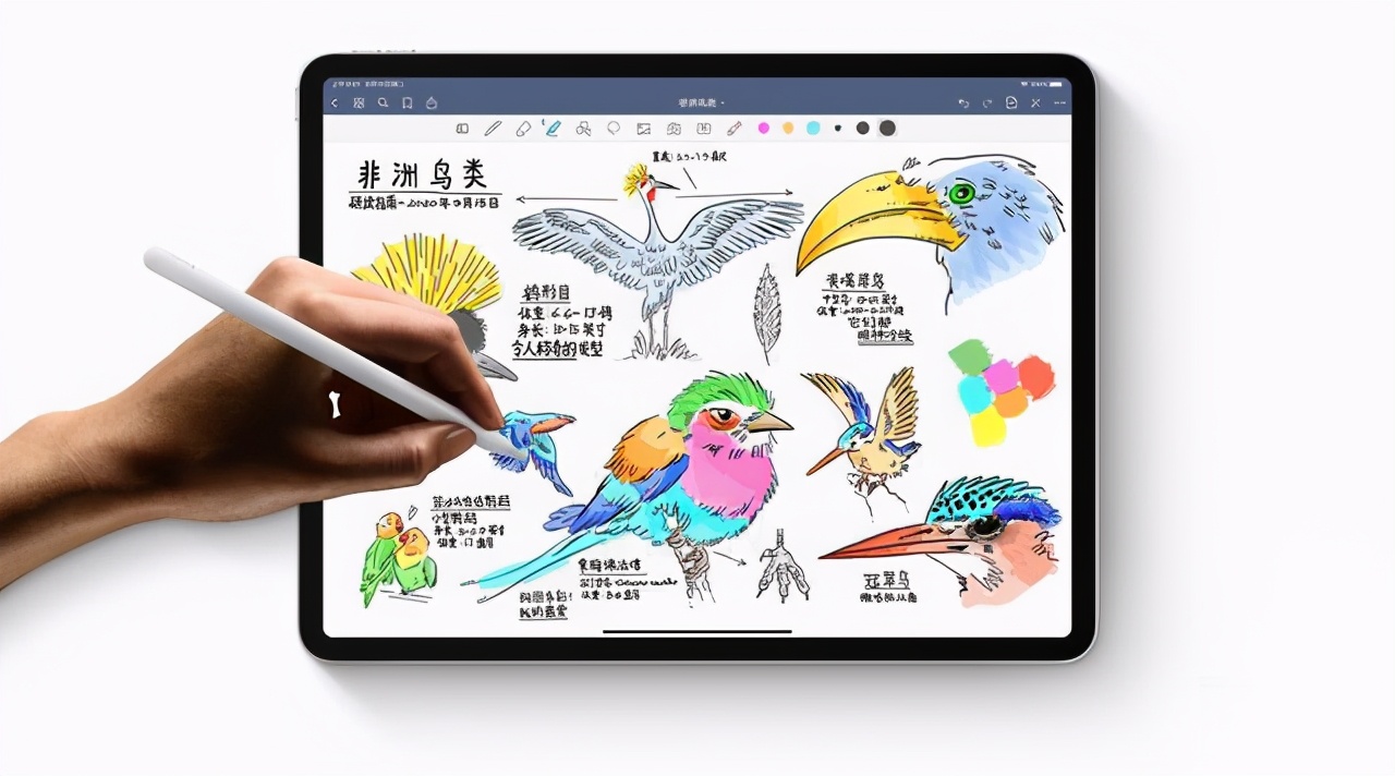 苹果ipad性能比较好,3000以下性能特别好的苹果ipad