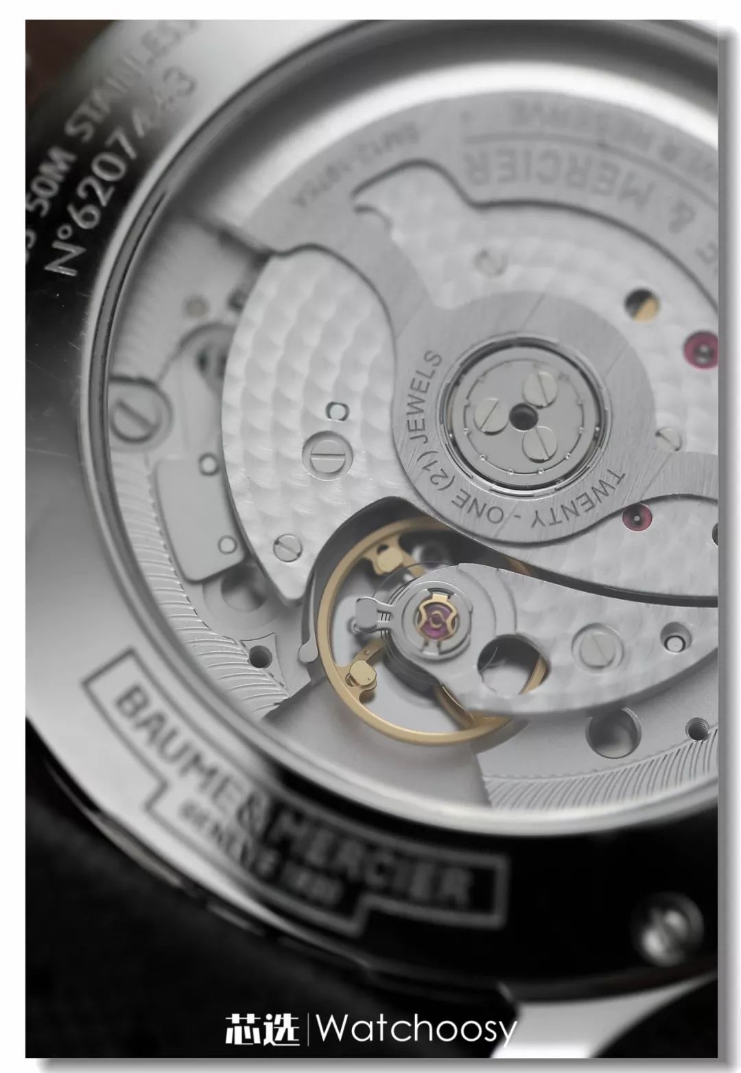 新款名士clifton,真香警告中的香氛