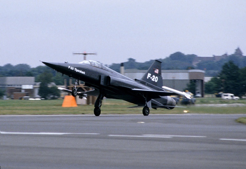 虎鲨悲剧,极富悲剧色彩的虎鲸