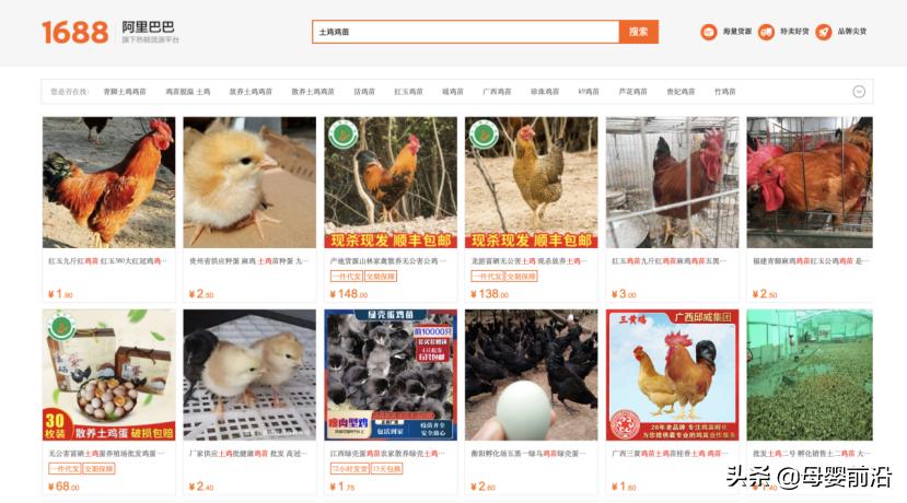 可生食无菌蛋是假鸡蛋吗,可生食无菌蛋国产